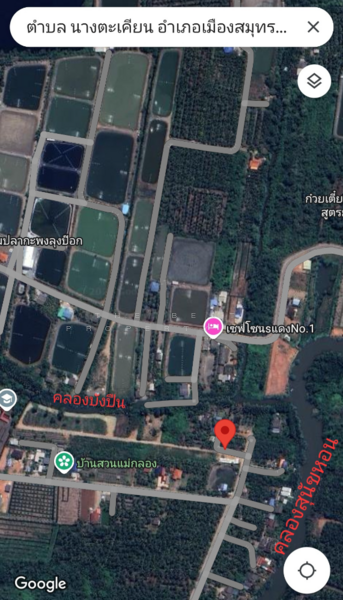 ที่ดินนางตะเคียน สมุทรสงคราม, สมุทรสงคราม, นางตะเคียน, เมืองสมุทรสงคราม, สมุทรสงคราม, 4,918 ตร.ม., ที่ดิน ขาย, โดย The Best Property อิ๋ว, 60166490 - DDproperty.com