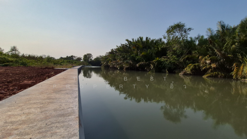 ที่ดินนางตะเคียน สมุทรสงคราม, Samut Songkhram, Nang Ta Khian, Muang Samut Songkhram, Samut Songkhram, , 4,918 sqm, Land For Sale, by The Best Property อิ๋ว, 60166490 - DDproperty.com