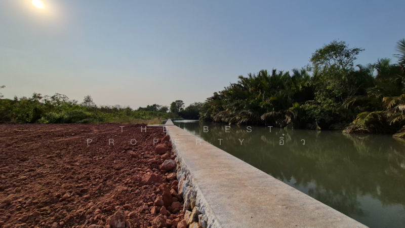 ที่ดินนางตะเคียน สมุทรสงคราม, สมุทรสงคราม, นางตะเคียน, เมืองสมุทรสงคราม, สมุทรสงคราม, 4,918 ตร.ม., ที่ดิน ขาย, โดย The Best Property อิ๋ว, 60166490 - DDproperty.com