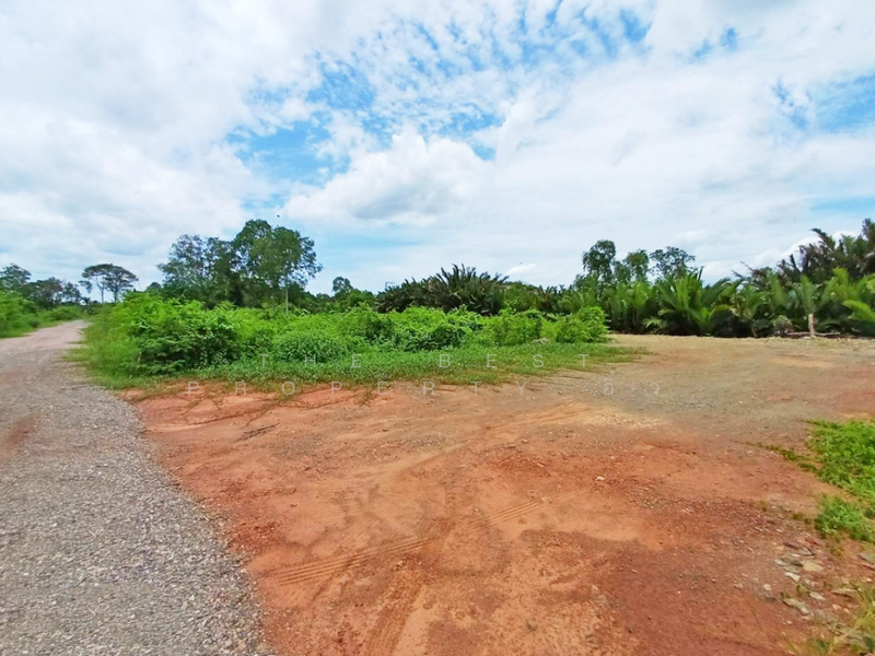 ที่ดินนางตะเคียน สมุทรสงคราม, Samut Songkhram, Nang Ta Khian, Muang Samut Songkhram, Samut Songkhram, , 4,918 sqm, Land For Sale, by The Best Property อิ๋ว, 60166490 - DDproperty.com