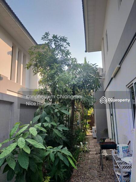 For Rent - House for Sale Sansaran Mod chic By Sao Hang Dong, Chiang Mai