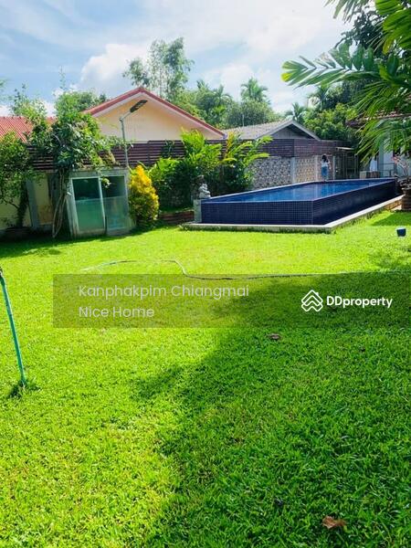 For Rent - Private houses resort-style for rent and sale in San Sai district., Chiang Mai