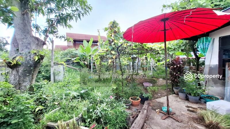 ขาย - บ้านเดี่ยวพร้อมที่ดินจังหาร ร้อยเอ็ด, ร้อยเอ็ด