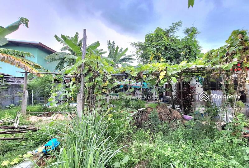 ขาย - บ้านเดี่ยวพร้อมที่ดินจังหาร ร้อยเอ็ด, ร้อยเอ็ด