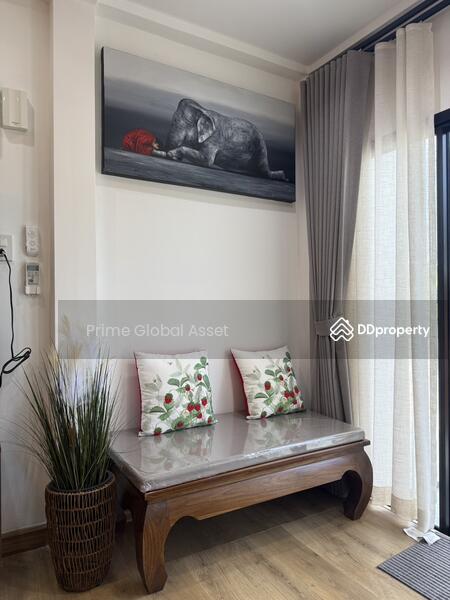 For Rent - The Avenue Palai, Phuket