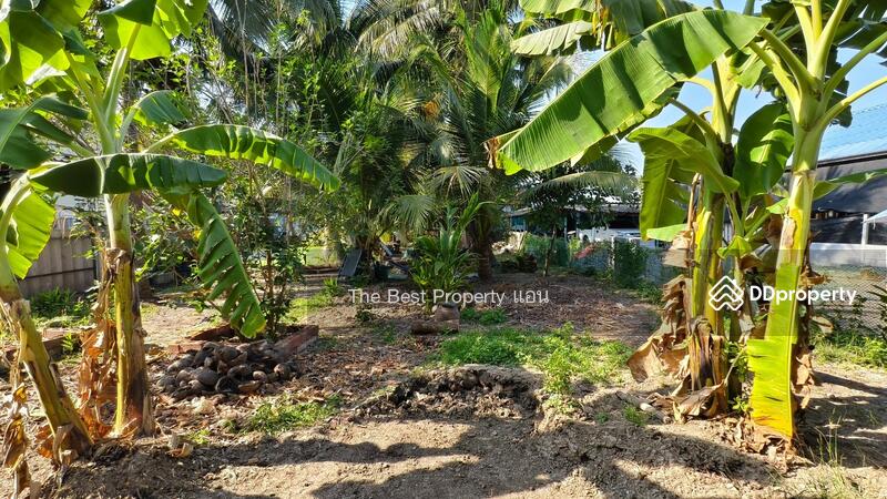For Sale - ที่ดินกระทุ่มแบน สมุทรสาคร, Samut Sakhon