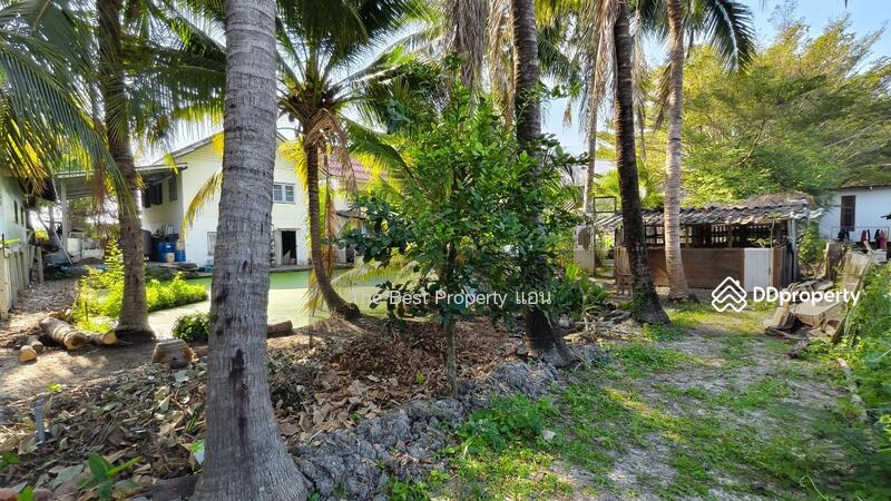 For Sale - ที่ดินกระทุ่มแบน สมุทรสาคร, Samut Sakhon