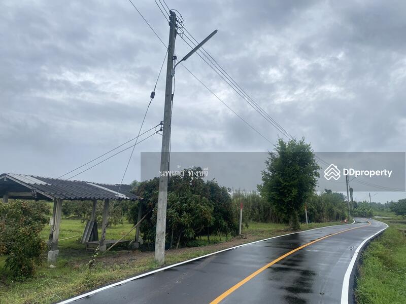 For Sale - ที่ดินติดน้ำ #ที่ดินสารภี 176 ตรว (599,000 บ.) ถนนคอนกรีต มีไฟฟ้าประปา, Chiang Mai