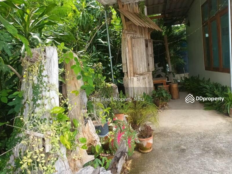 ขาย - ที่ดินพร้อมสิ่งปลูกสร้างงาว ลำปาง, ลำปาง