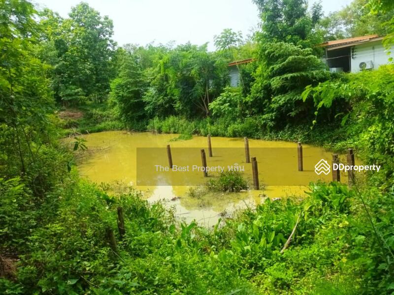 ขาย - ที่ดินพร้อมสิ่งปลูกสร้างงาว ลำปาง, ลำปาง
