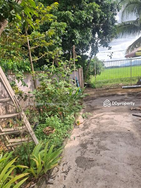 ขาย - บ้านเดี่ยวพร้อมที่ดินเวียงชัย เชียงราย, เชียงราย