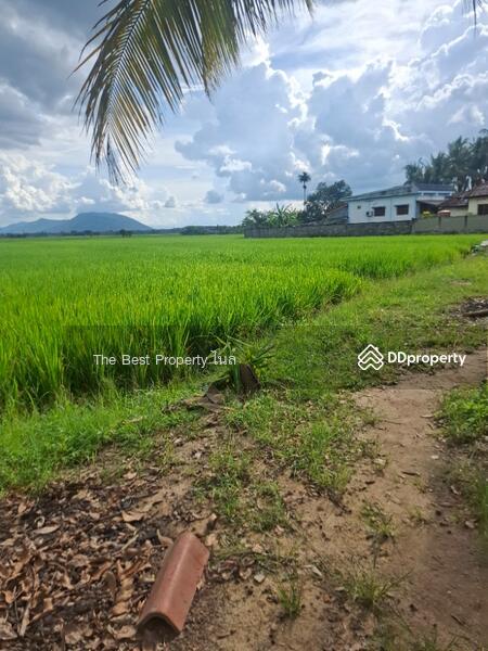 ขาย - บ้านเดี่ยวพร้อมที่ดินเวียงชัย เชียงราย, เชียงราย