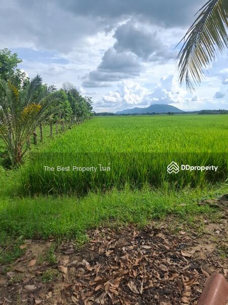 ขาย - บ้านเดี่ยวพร้อมที่ดินเวียงชัย เชียงราย, เชียงราย