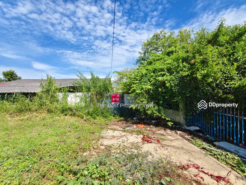 ขาย - ที่ดินเมือง นครปฐม, นครปฐม