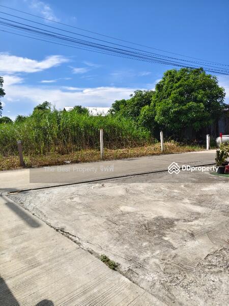 ขาย - ที่ดินเมือง นครปฐม, นครปฐม