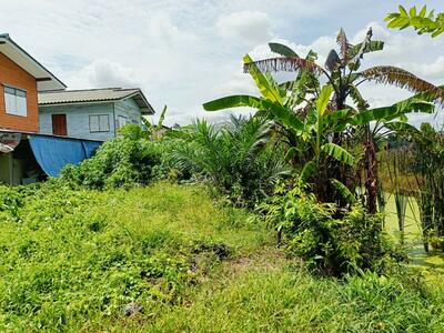 ขาย - ที่ดินปากเกร็ด นนทบุรี, นนทบุรี