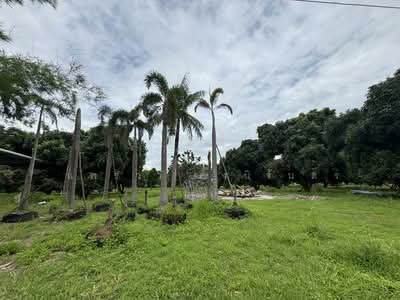 ขาย - ที่ดินสวนลำไย 35 ไร่ 3 งาน 12 ตร.วา แม่แฝกใหม่ เชียงใหม่, เชียงใหม่