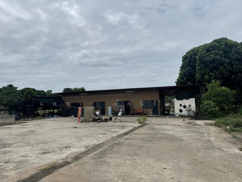 ที่ดินสวนลำไย 35 ไร่ 3 งาน 12 ตร.วา แม่แฝกใหม่ เชียงใหม่, Chiang Mai, Mae Phaek Mai, San Sai, Chiang Mai, , 57,248 sqm, Land For Sale, by แพรวา ตั้งนิรันดร, 60167899 - DDproperty.com