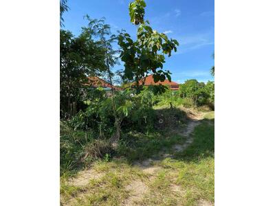 ขาย - ขายที่ดินเปล่า 94 ตารางวา ในหมู่บ้าน พีระการ์เด้นโฮม ใกล้ถนน36 200เมตร, ชลบุรี