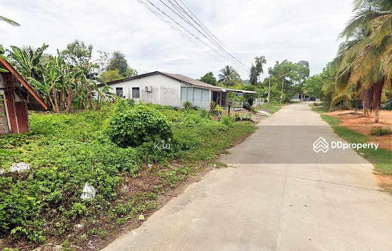 ขาย - ที่ดินถมแล้ว ถูกมาก ใกล้ถนนใหญ่ 60 เมตร อยู่หลังธนาคารธกส เข้าข้างซอยธนาคาร, นครศรีธรรมราช