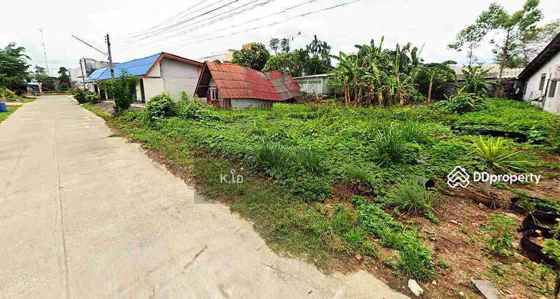 ขาย - ที่ดินถมแล้ว ถูกมาก ใกล้ถนนใหญ่ 60 เมตร อยู่หลังธนาคารธกส เข้าข้างซอยธนาคาร, นครศรีธรรมราช