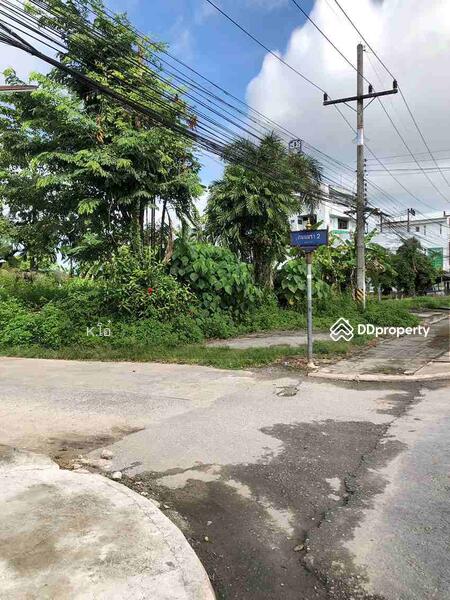 ขาย - ที่ดินถมแล้ว ถูกมาก ใกล้ถนนใหญ่ 60 เมตร อยู่หลังธนาคารธกส เข้าข้างซอยธนาคาร, นครศรีธรรมราช
