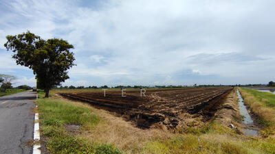 ขาย - ที่ดินเปล่า 10 ไร่ คลอง 5 ฝั่งตะวันออก, ปทุมธานี