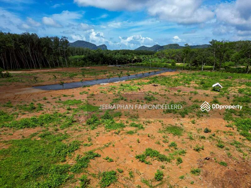 For Sale - Land for Sale in Soi Sai Thai Phatthana 6, Sai Thai Subdistrict, Mueang Krabi, Krabi