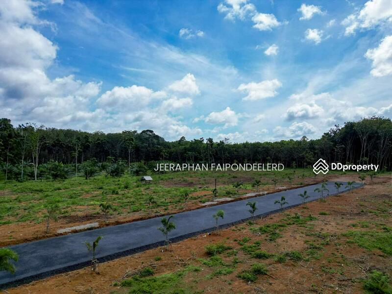 For Sale - Land for Sale in Soi Sai Thai Phatthana 6, Sai Thai Subdistrict, Mueang Krabi, Krabi