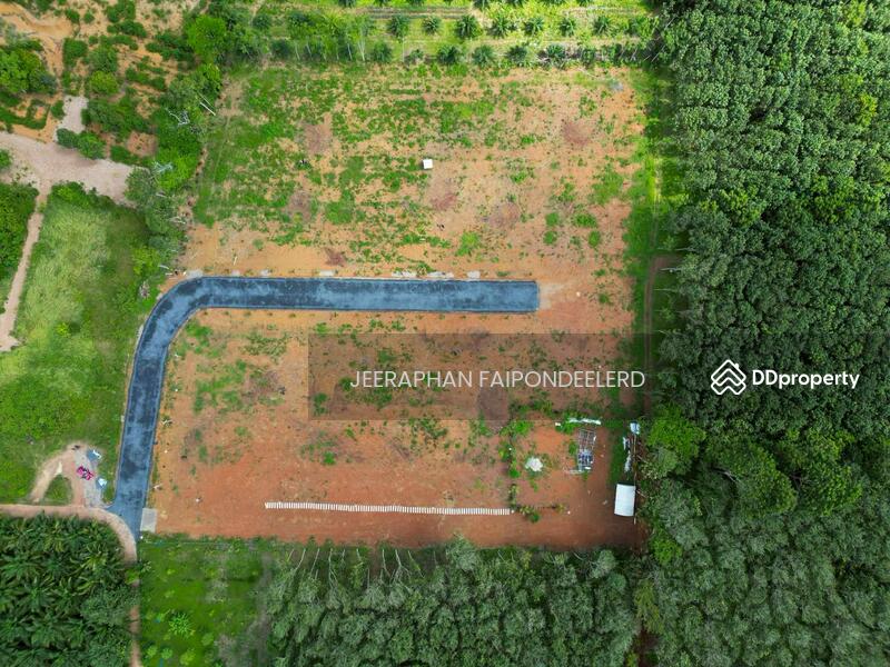 For Sale - Land for Sale in Soi Sai Thai Phatthana 6, Sai Thai Subdistrict, Mueang Krabi, Krabi