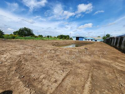 ขาย - ที่ดิน มหาชัย ซอย คลองครุ-ศรีเมือง สมุทรสาคร, สมุทรสาคร