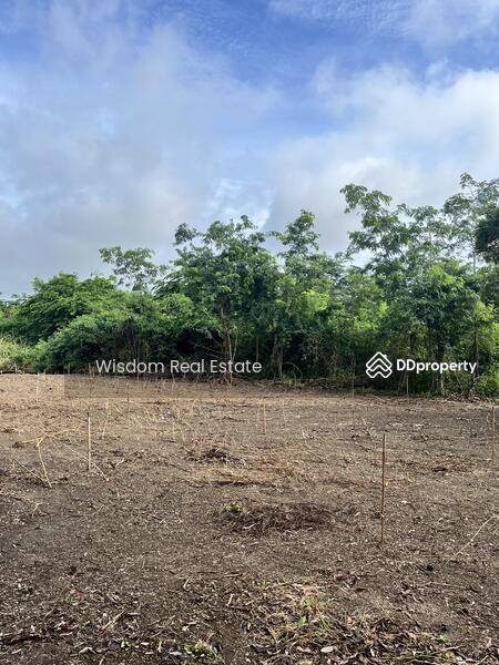 ขาย - ที่ดิน 180 ตรว. สวนเอก บางเลน, นครปฐม