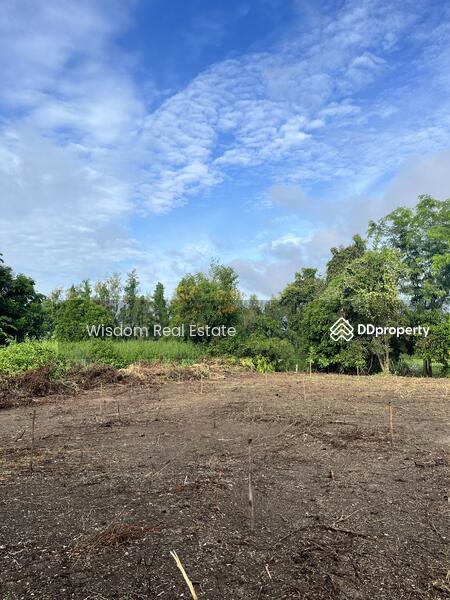 ขาย - ที่ดิน 180 ตรว. สวนเอก บางเลน, นครปฐม