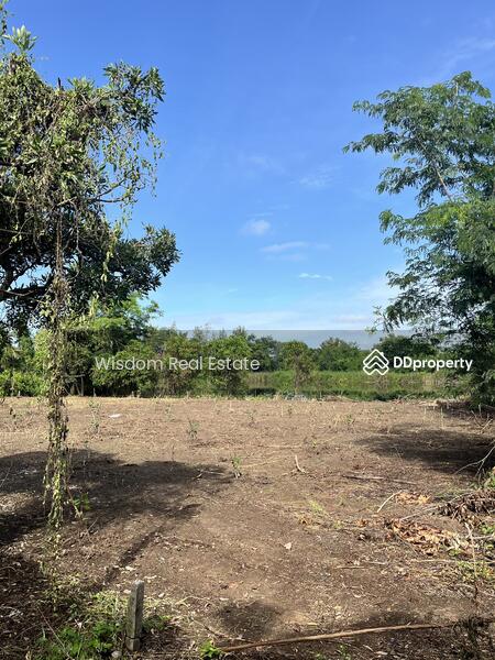 ขาย - ที่ดิน 180 ตรว. สวนเอก บางเลน, นครปฐม