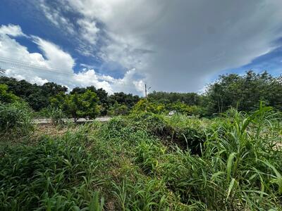 ขาย - ที่ดินสอยดาว จันทบุรี, จันทบุรี