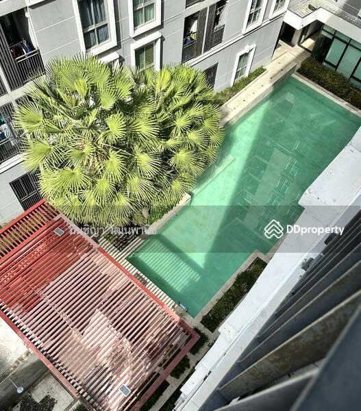 ให้เช่า - Plum Condo Chaengwattana Station : พลัม คอนโด แจ้งวัฒนะ สเตชั่น, กรุงเทพ