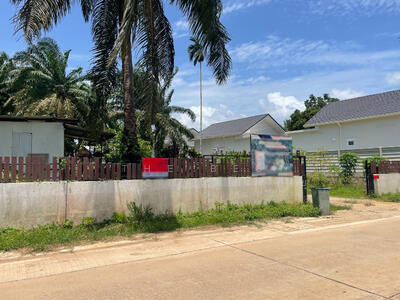 ขาย - ที่ดินท่าแซะ ชุมพร, ชุมพร