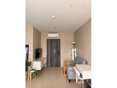 ขาย - Elio Del Nest : เอลิโอ เดล เนสท์, กรุงเทพ