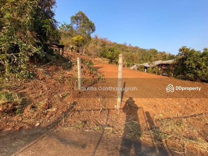 ขาย - โป่งแยง แมริม, เชียงใหม่