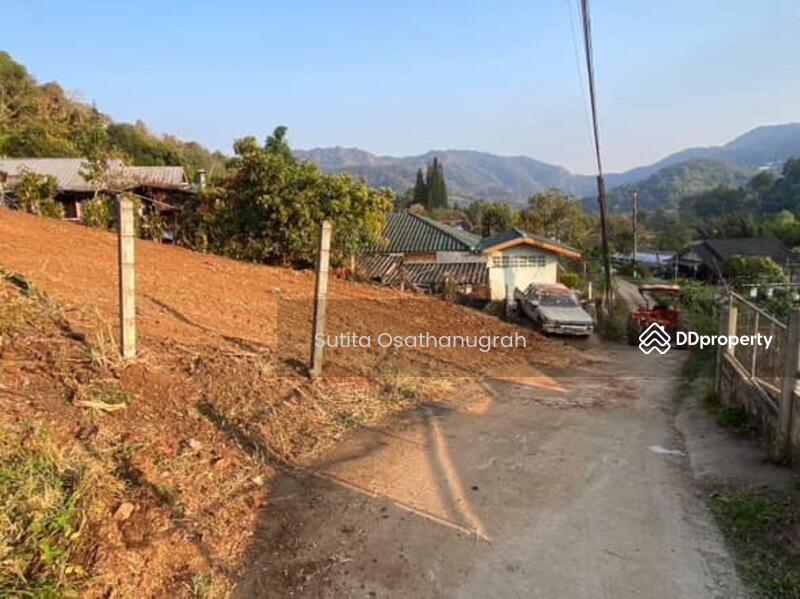 ขาย - โป่งแยง แมริม, เชียงใหม่
