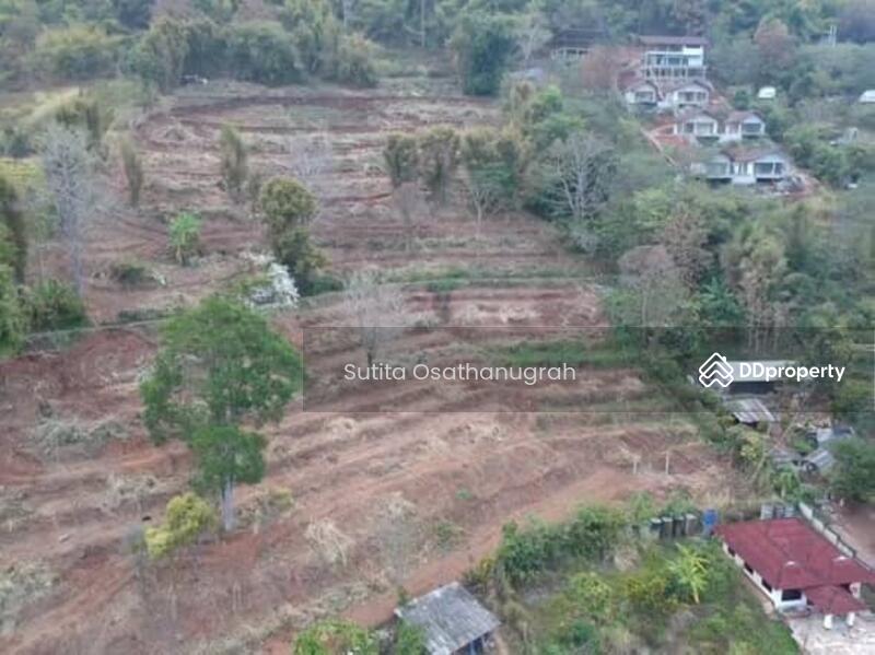 For Sale - Pong Yaeng Mae Rim, Chiang Mai