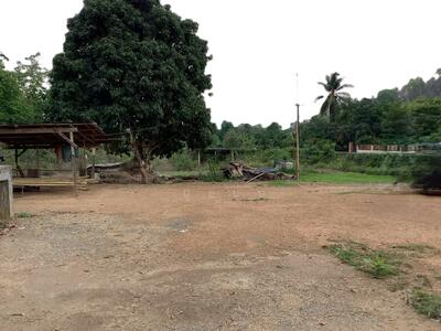 ขาย - ขายที่ดินบนเนิน แปลงสวย 17 ไร่ 253 ตารางวา พร้อมต้นสักอายุ 20 ปี ปลูกเต็มพื้นที่ 12 ไร่ ต.น้ำหมัน, อุตรดิตถ์