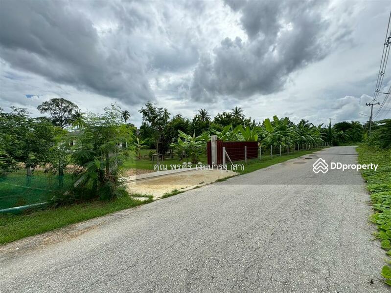ขาย - ที่ดินเปล่า 2 ไร่ 289 ตร.ว. ที่ดินเปล่า ใกล้วัดบ้านยาง ถนนเพชรเกษม บ้านโป่ง ราชบุรี, ราชบุรี