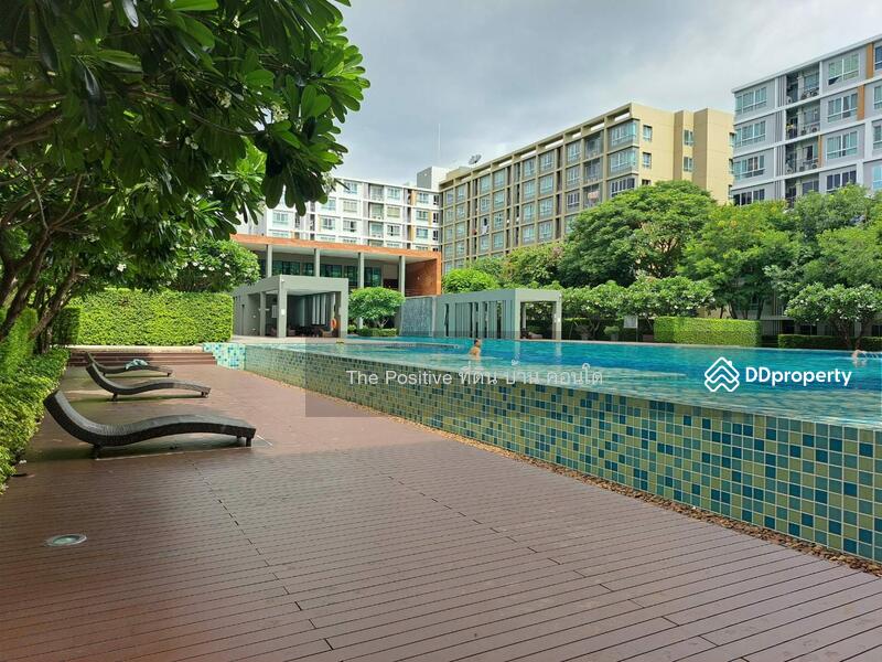 ให้เช่า - Dcondo Sign : ดีคอนโด ซายน์, เชียงใหม่