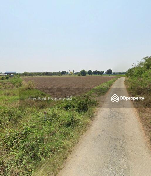 ขาย - ที่ดินกำแพงแสน นครปฐม, นครปฐม