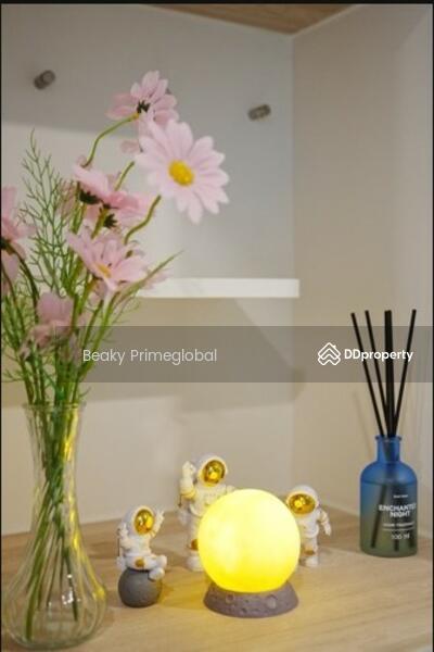 ให้เช่า - Phyll Phuket : ฟีล ภูเก็ต, ภูเก็ต