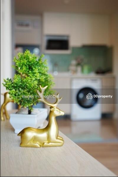 For Rent - Phyll Phuket, Phuket