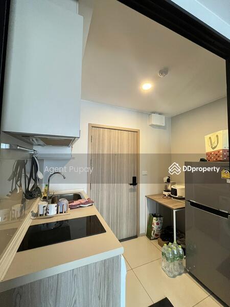 ให้เช่า - Plum Condo Sukhumvit 97/1 : พลัมคอนโด สุขุมวิท 97/1, กรุงเทพ