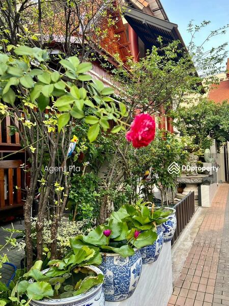 ให้เช่า - Single house for rent on Phahon Yothin-Chatuchak (SPSAD3348), กรุงเทพ