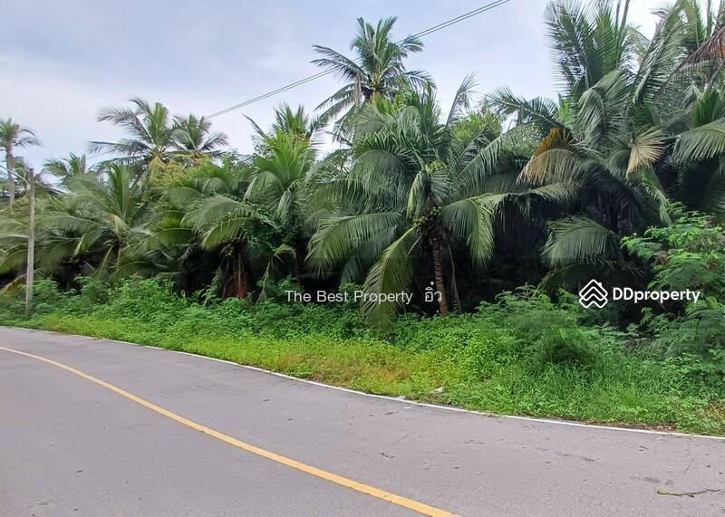 ขาย - ที่ดินลาดใหญ่ สมุทรสงคราม, สมุทรสงคราม